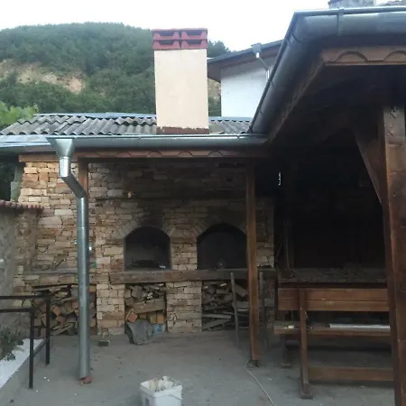 Elenite غوتسه دلتشو